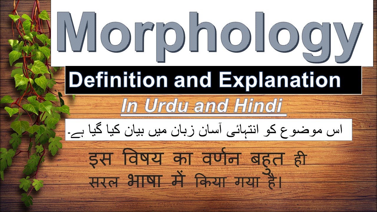 What is Morphology in linguistics in Hindi/Urdu?