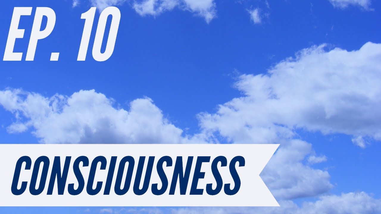 Ep. 10 – Awakening from the Meaning Crisis – Consciousness