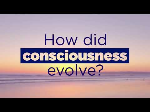 Decoding the Puzzle of Human Consciousness | The Great Courses Plus +  @Scientific American