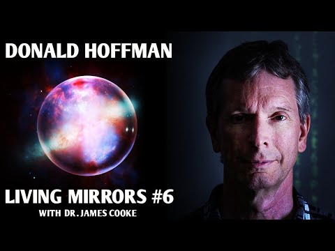 Reality, consciousness, meditation, DMT experiences & free will with Donald Hoffman|Living Mirrors#6