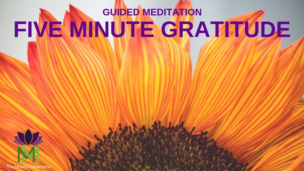 5 Minute Guided Meditation for Gratitude / Mindful Movement