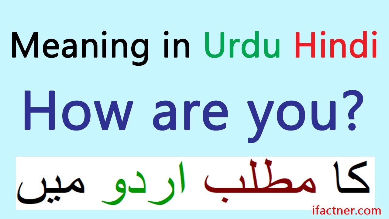 How Are You Meaning In Urdu | Study English online | English to Urdu words