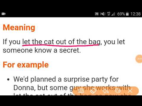 What is the meaning of the idiom let the cat out of the bag?