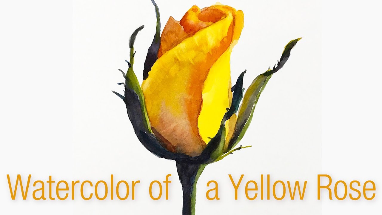 Still Life #87 – Step-by-step watercolor painting of a Yellow Rose Bud