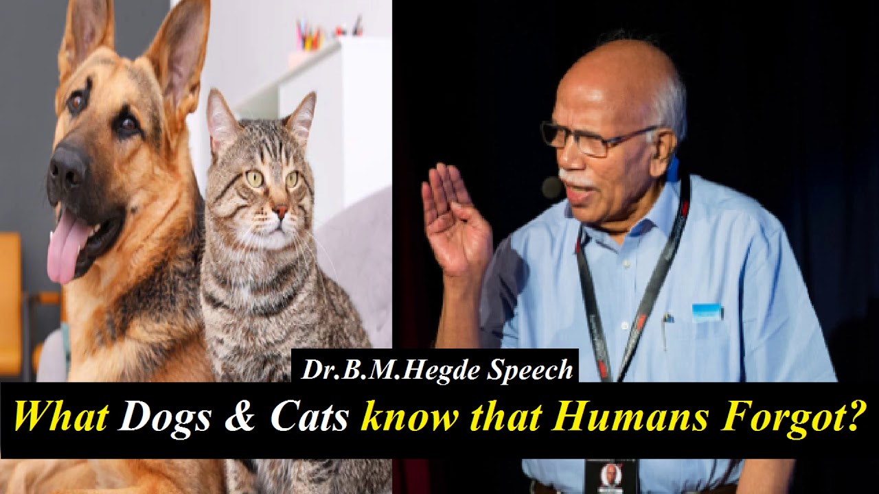 The intellect of Dogs & Cats compared to Humans? – Dr.B.M.Hegde latest speech | evolution