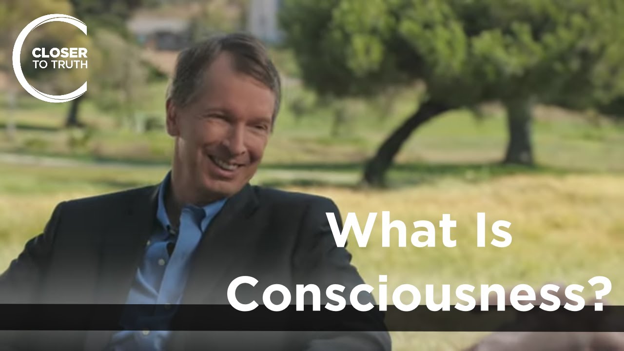 Donald Hoffman – What is Consciousness?