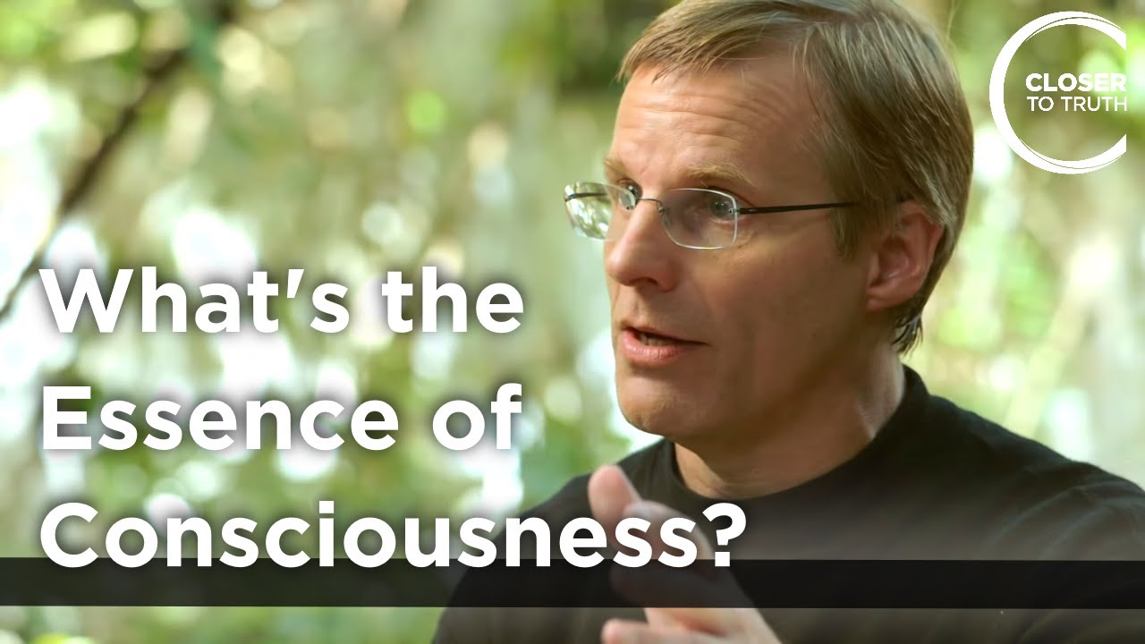 Giulio Tononi – What's the Essence of Consciousness?
