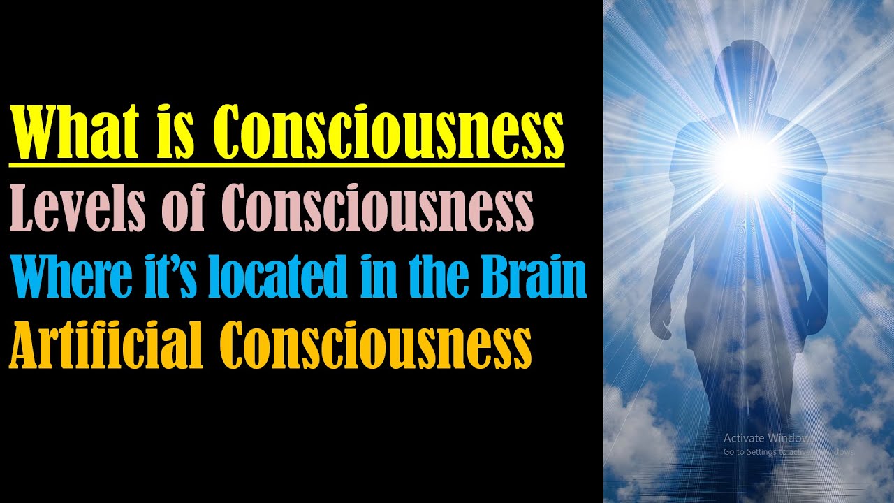 What is Consciousness – Where is Consciousness Located in the Brain – Consciousness Explained