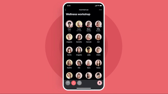 Social networking app for women, Peanut, adds live audio rooms – TechCrunch
