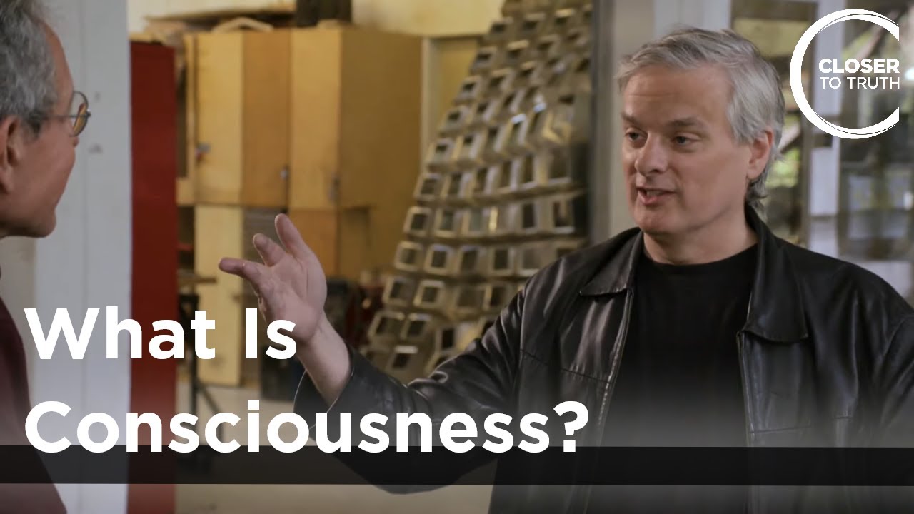 David Chalmers – What is Consciousness?
