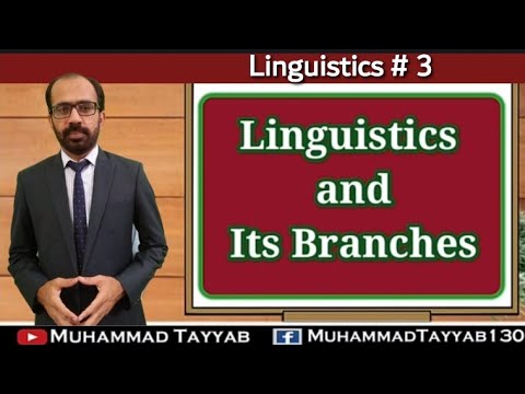 Linguistics 3 | What is linguistics? | Branches of Linguistics | Introduction to Linguistics