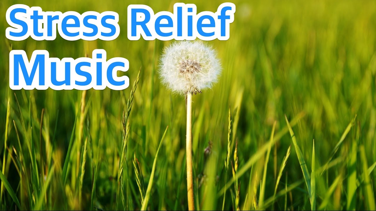 9 HOURS of Mindfulness Relaxing Piano Music for Stress Relief. Soothing Background Music