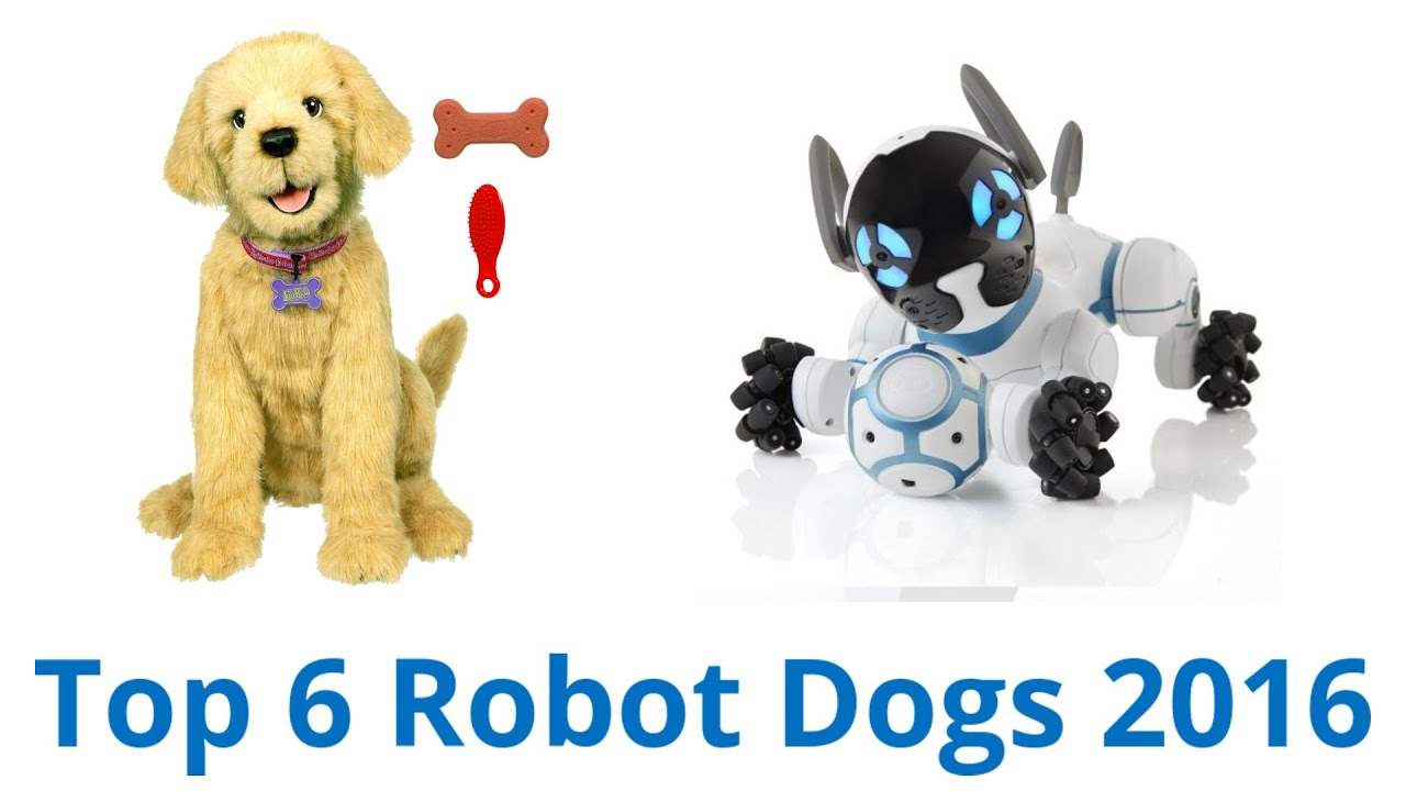 6 Best Robot Dogs 2016