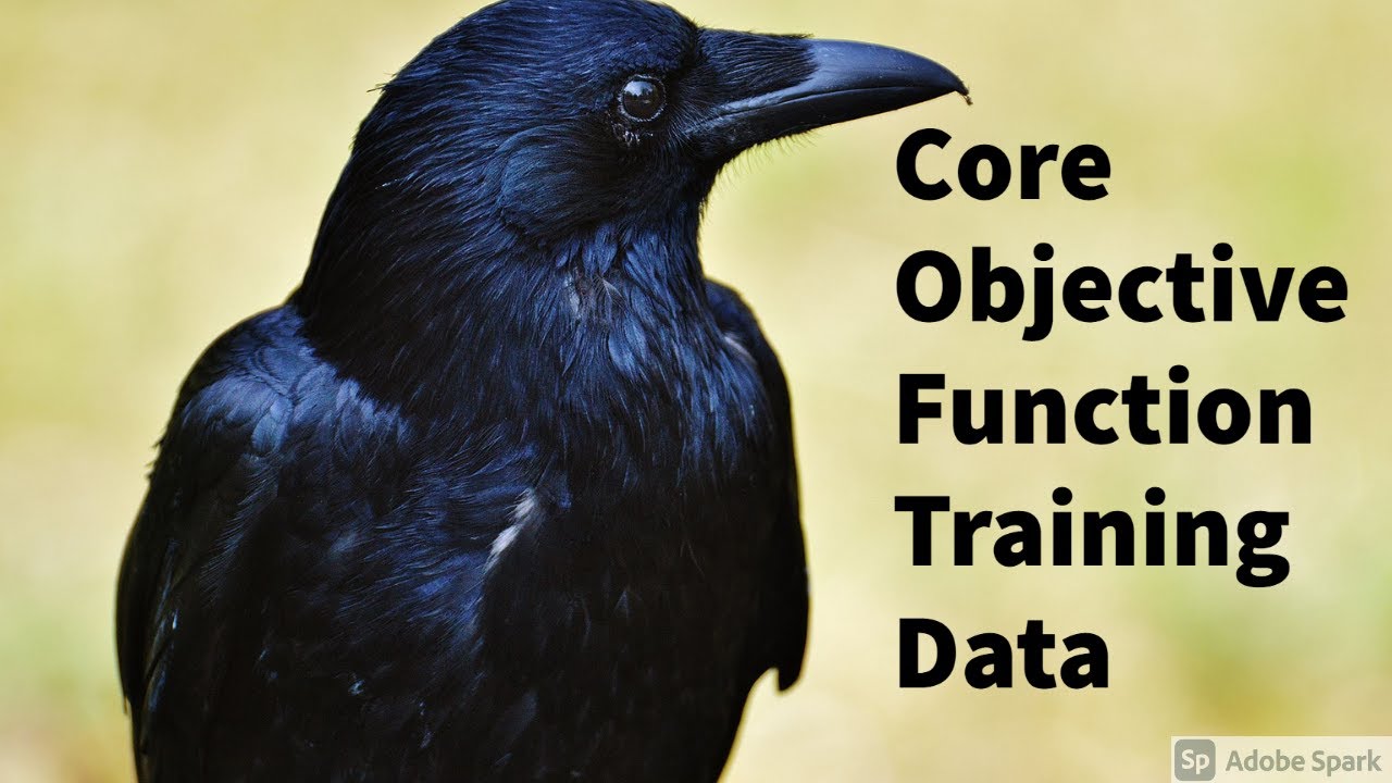 Generating Training Data for Core Objective Functions