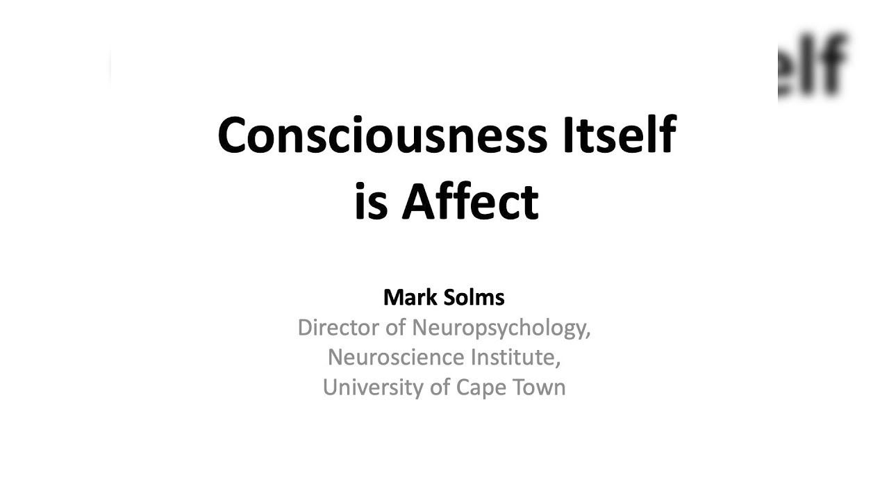 Consciousness itself is affect: Felt uncertainty in the face of oblivion – Lecture by Prof. Solms