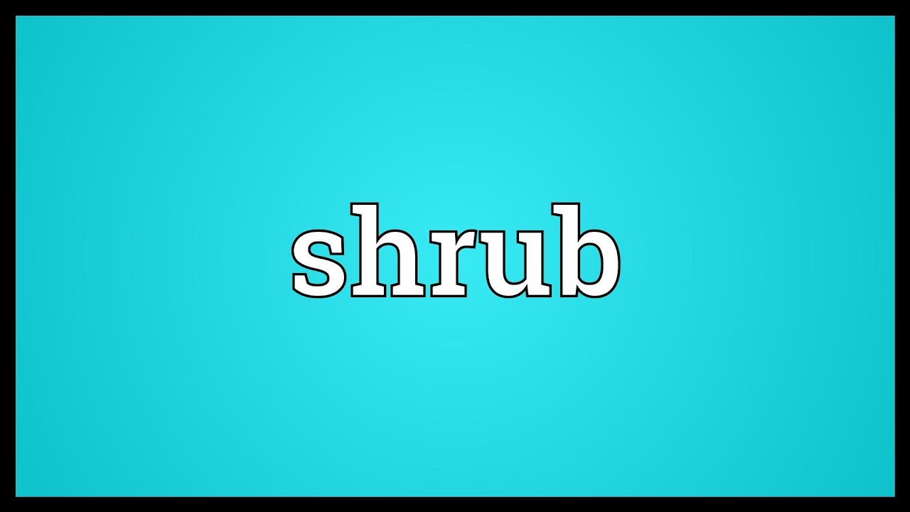 Shrub Meaning