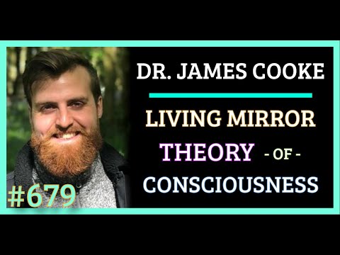 Simulation #679 Dr. James Cooke – Living Mirror Theory of Consciousness