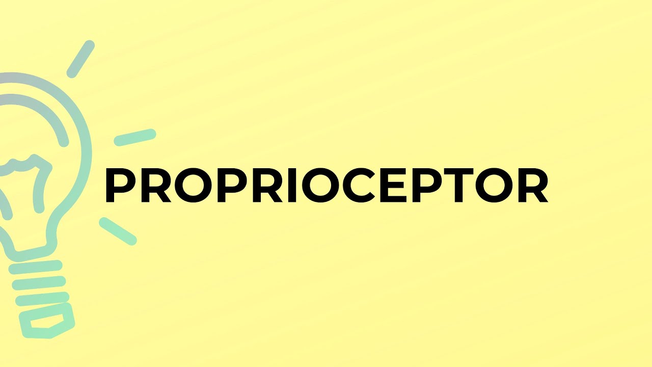 What is the meaning of the word PROPRIOCEPTOR?