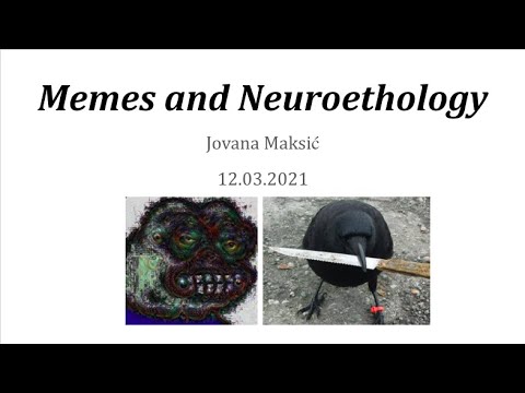 Bard Meme Lab: Memes and Neuroethology (A talk by Jovana Maksic)