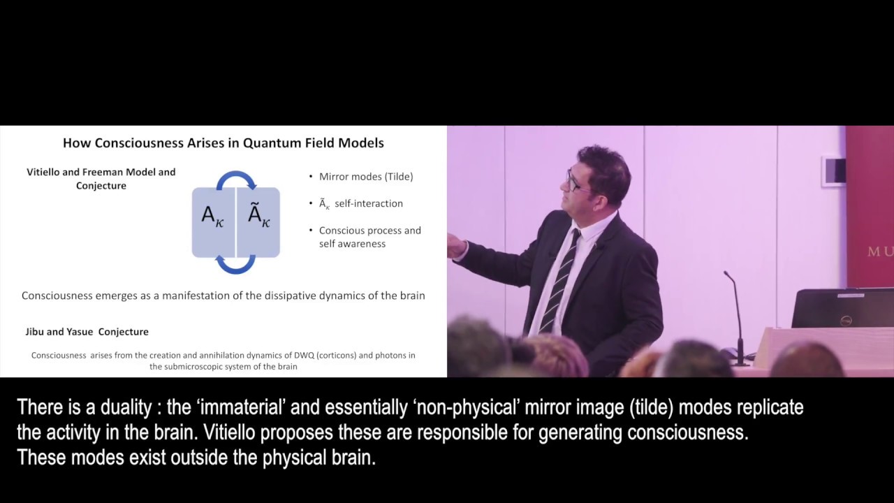 Quantum Field Theory, Brain Dynamics & Conscious Perception – Asim Islam