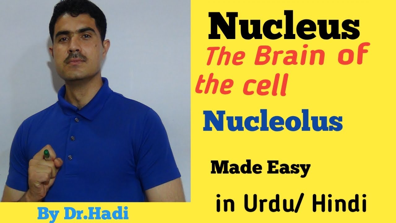 Detail concept of Nucleus and Nucleolus lecture 15 in Urdu Hindi by Dr Hadi