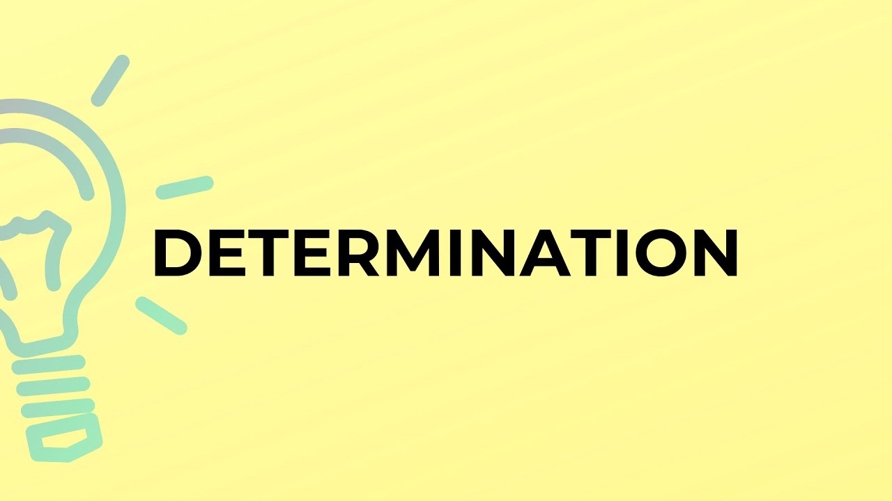 What is the meaning of the word DETERMINATION?