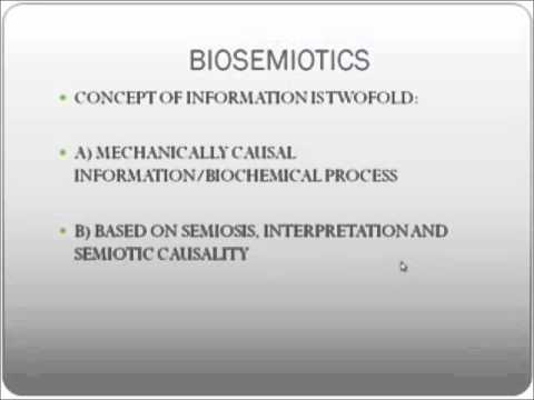 Deana Neubauer —  "A Biosemiotic Perspective"