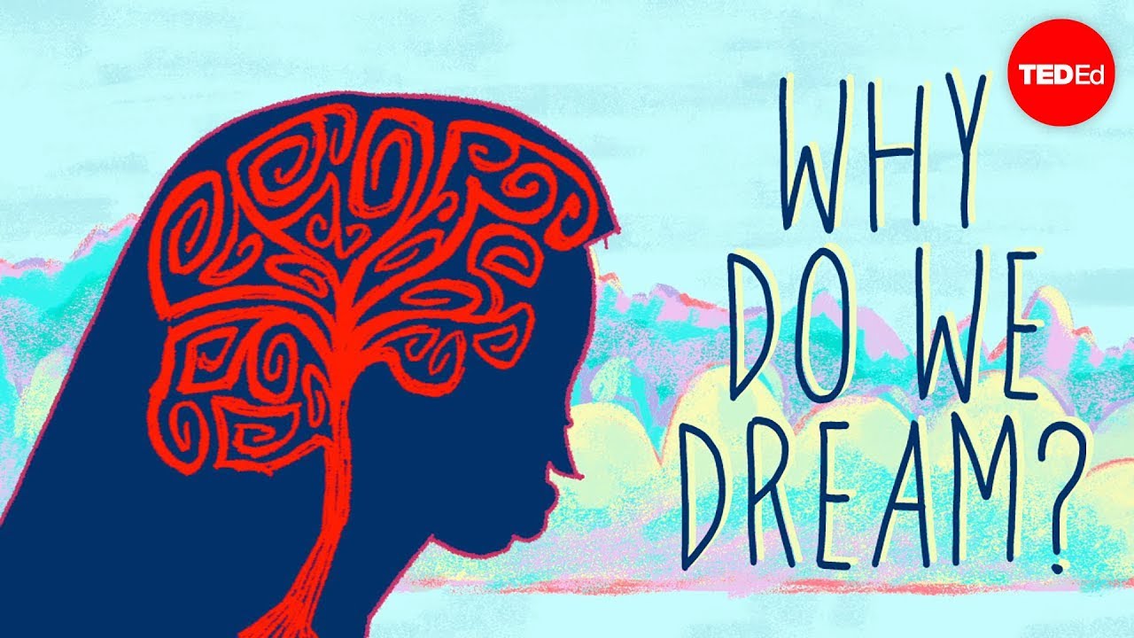 Why do we dream? – Amy Adkins