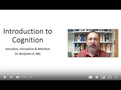 Cognition   Sensation and Perception