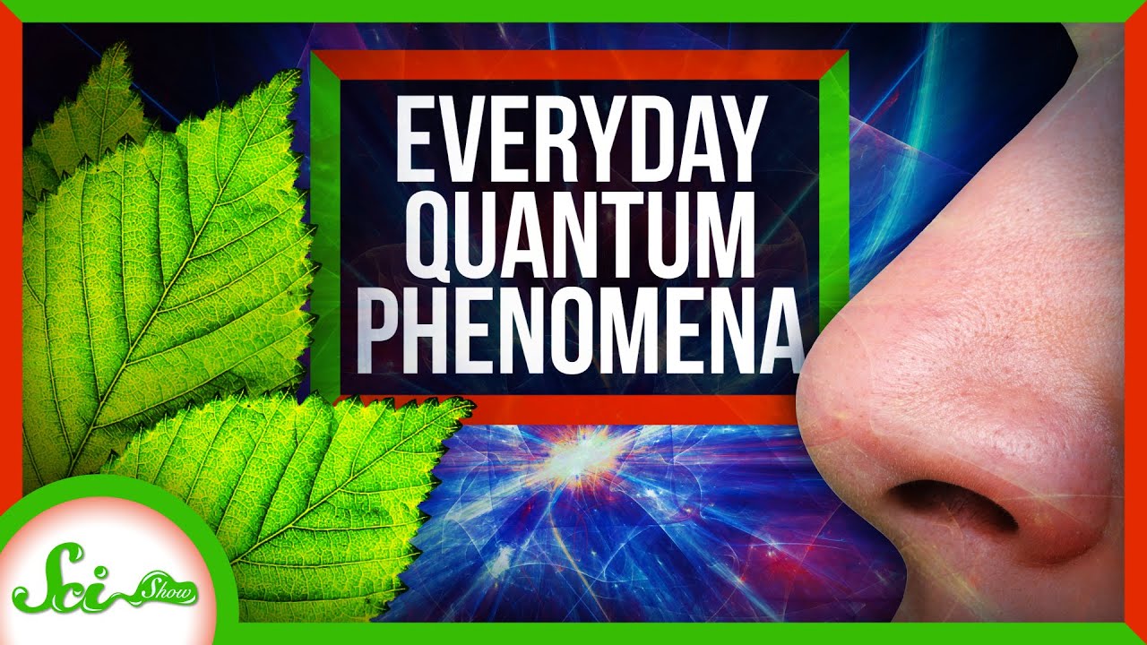 How Quantum Mechanics Affects Your Life
