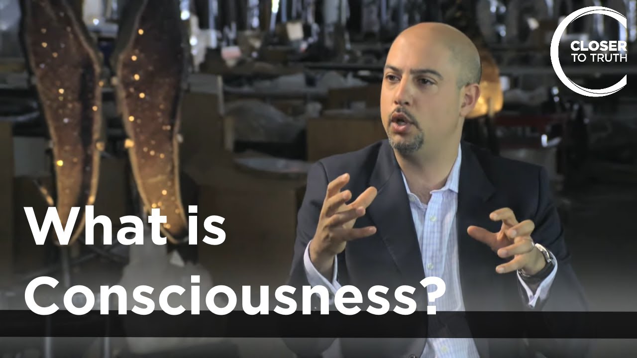 Sam Parnia – What is Consciousness?