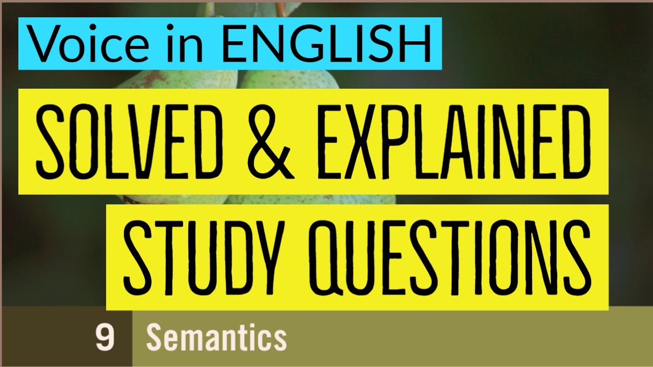 Solved and Explained Study Questions | Chapter 9 | Semantics | The Study of Language | [ ENGLISH ]