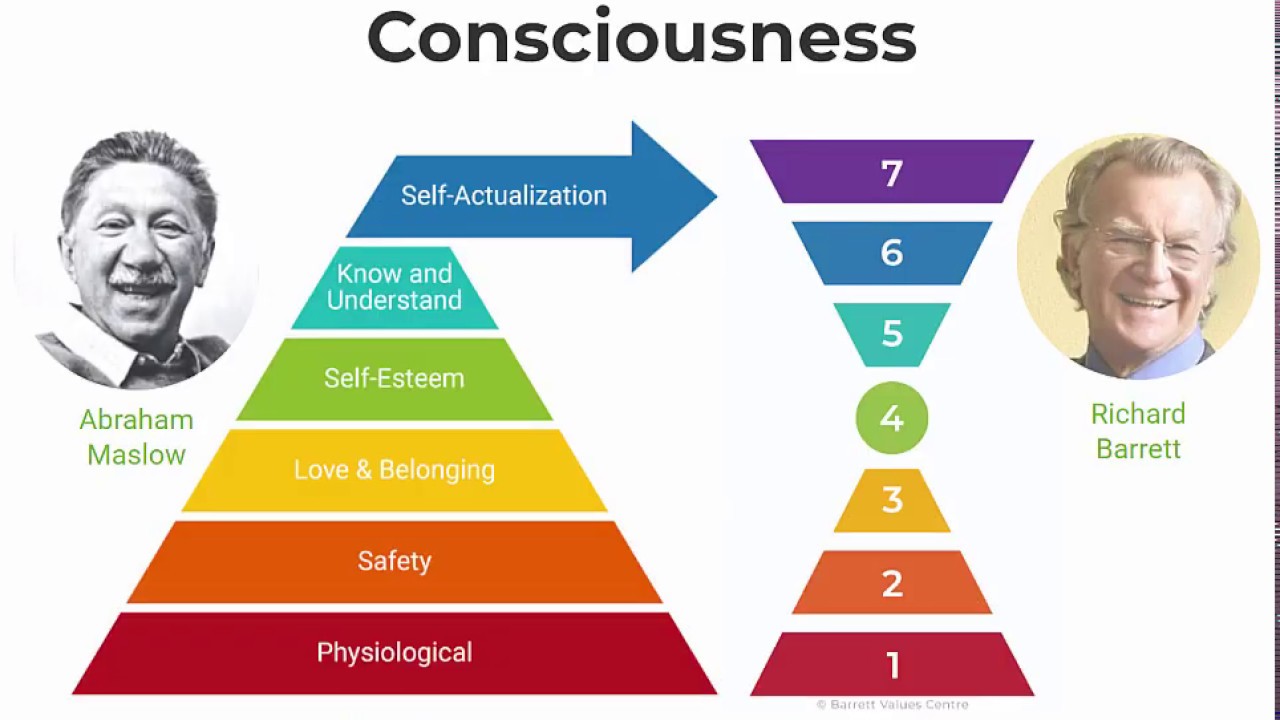 Seven Levels of Consciousness® and CTT Introduction