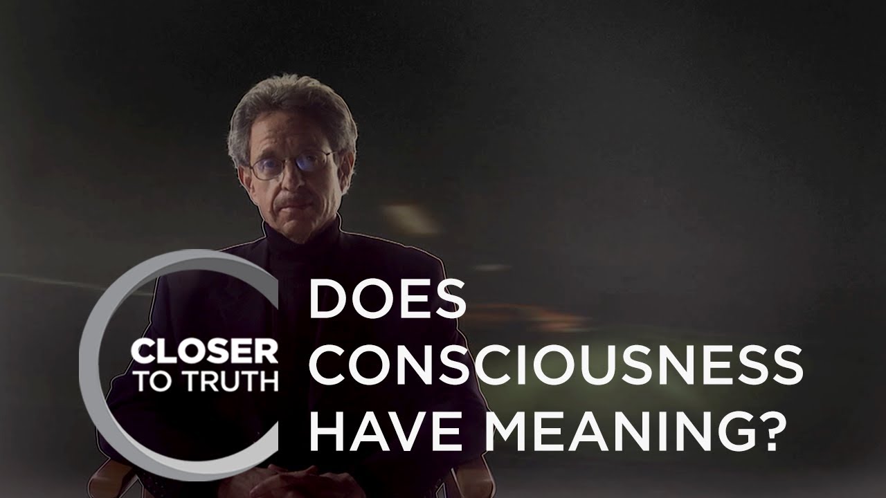 Does Consciousness Have Meaning? | Episode 703 | Closer To Truth