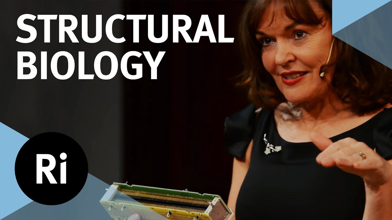 A New Phase for Structural Biology – with Carol Robinson