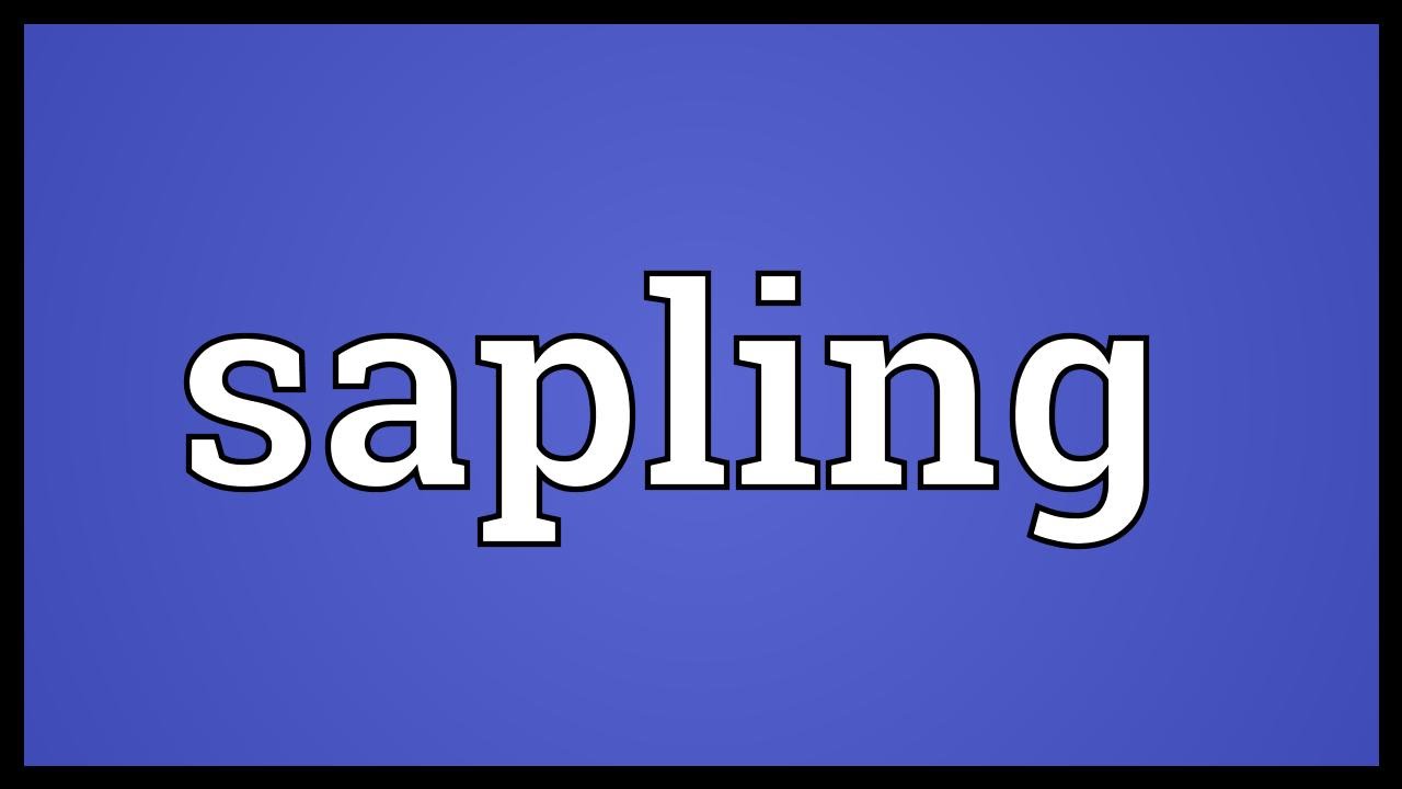 Sapling Meaning