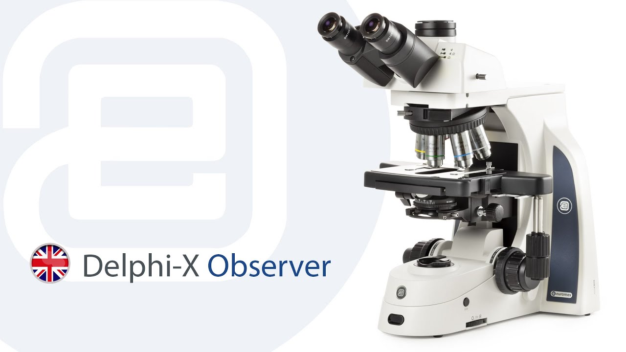Euromex Delphi X Observer tutorial