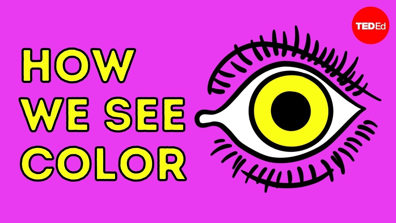 How we see color – Colm Kelleher