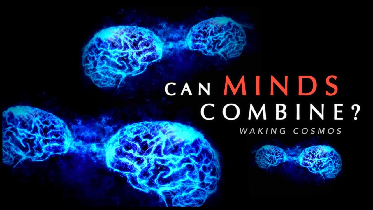 Consciousness, Split-Brain Experiments, and Combining Minds | Documentary