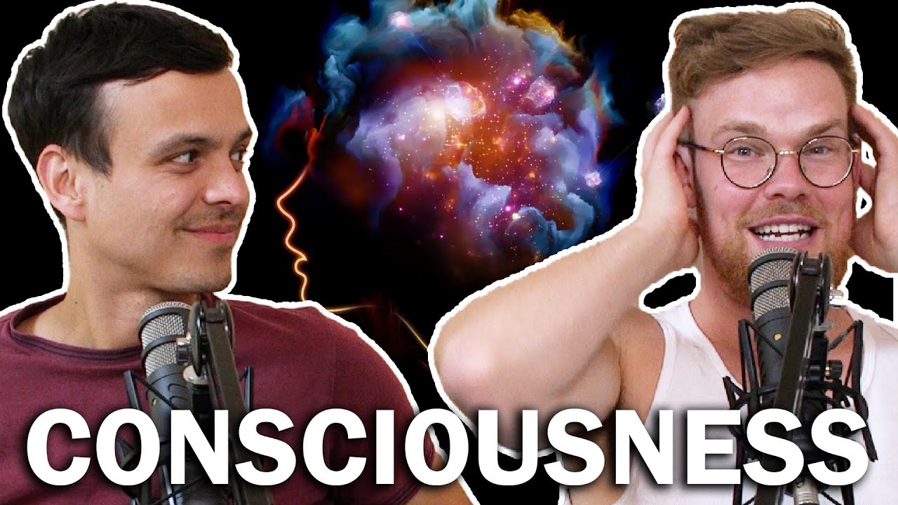 Consciousness: Where Does It Come From?
