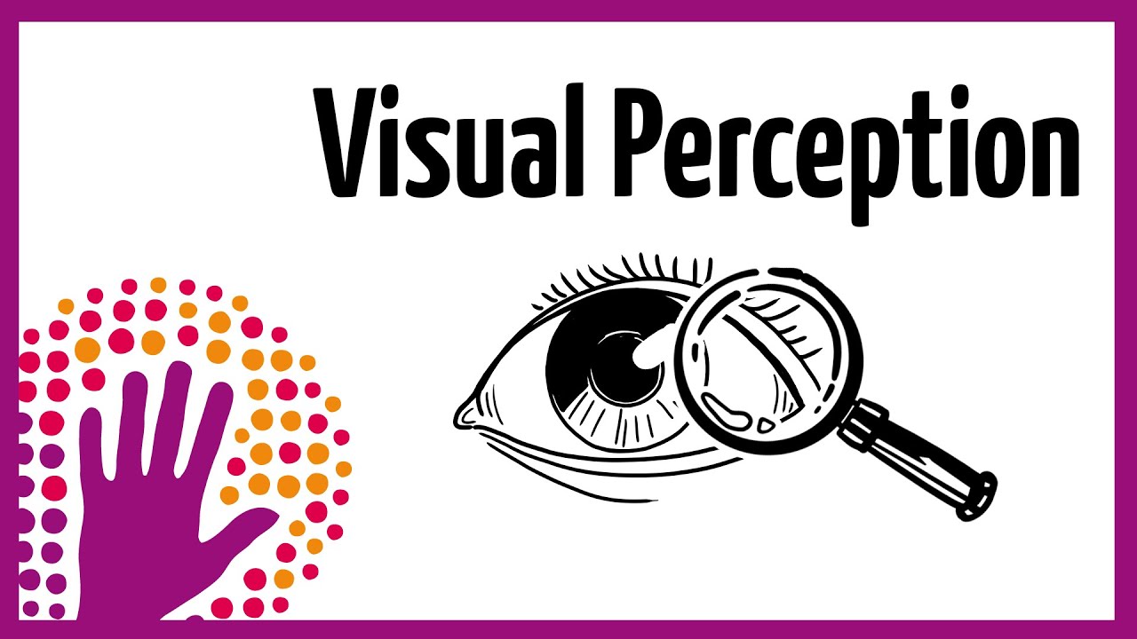 Visual Perception – How It Works