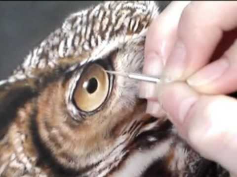 Wildlife Art; Great Horned Owl Painting – Watercolor Wildlife Art in Miniature