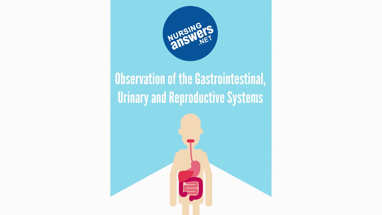 Assessment and Observation of the Gastrointestinal, Urinary and Reproductive Systems