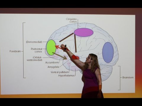 [Science Week 2018] How can cognitive neuroscience build resilience in breast cancer patients?
