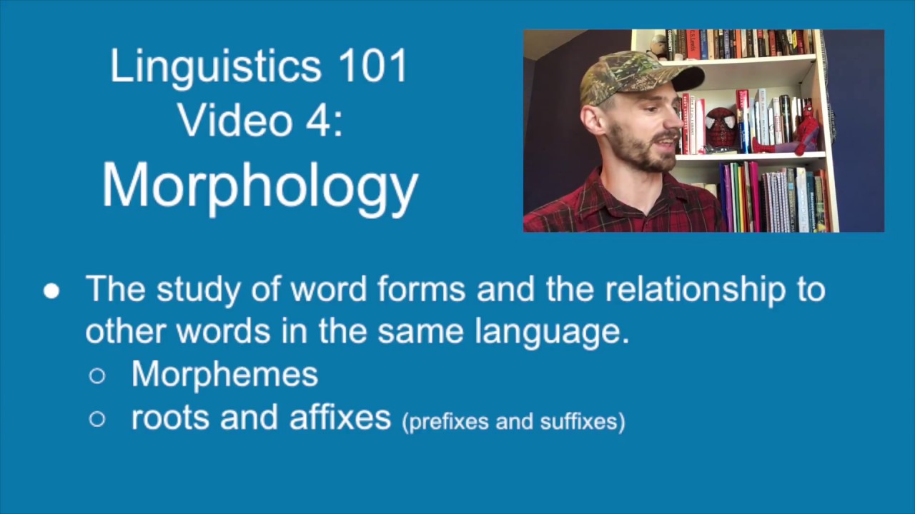 Morphology: Intro to Linguistics [video 4]