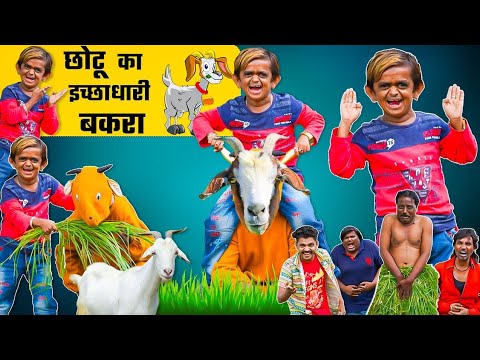 Chotu Dada Ka Ichhadhari Bakra wala |छोटू दादा का इच्चधारी बकरा |Chhotu Ka New Comedy Video
