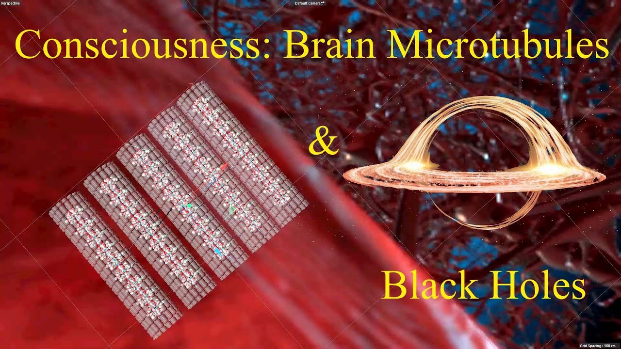 Quantum Consciousness: Brain Microtubules & Black Holes