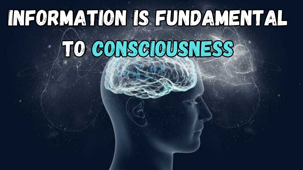 Integrated Information Theory and The Metaphysics of Consciousness w/Dr. Garrett Mindt