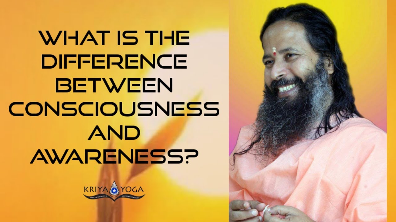 What Is the Difference between Consciousness and Awareness?