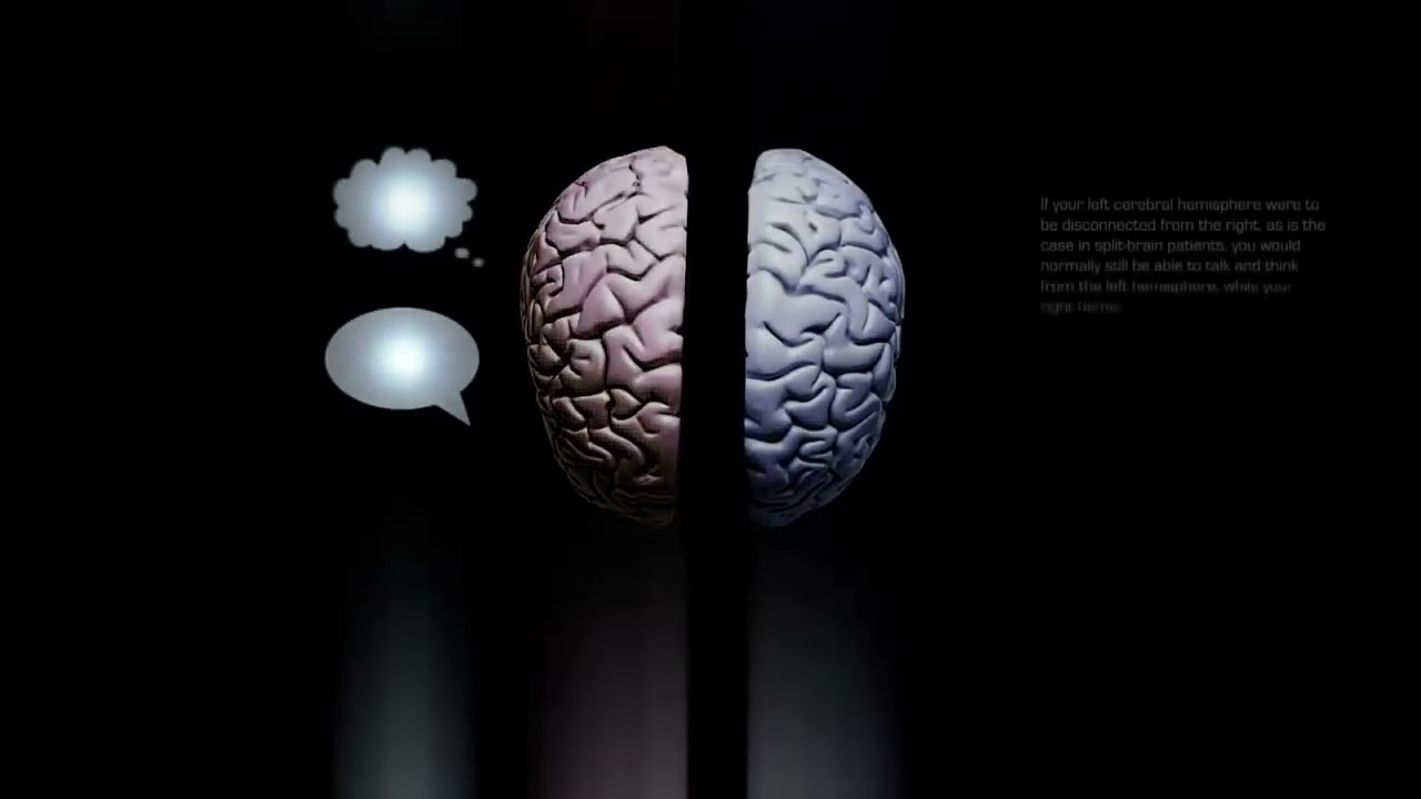 Human Brain And Quantum Physics Science Full Documentary HD